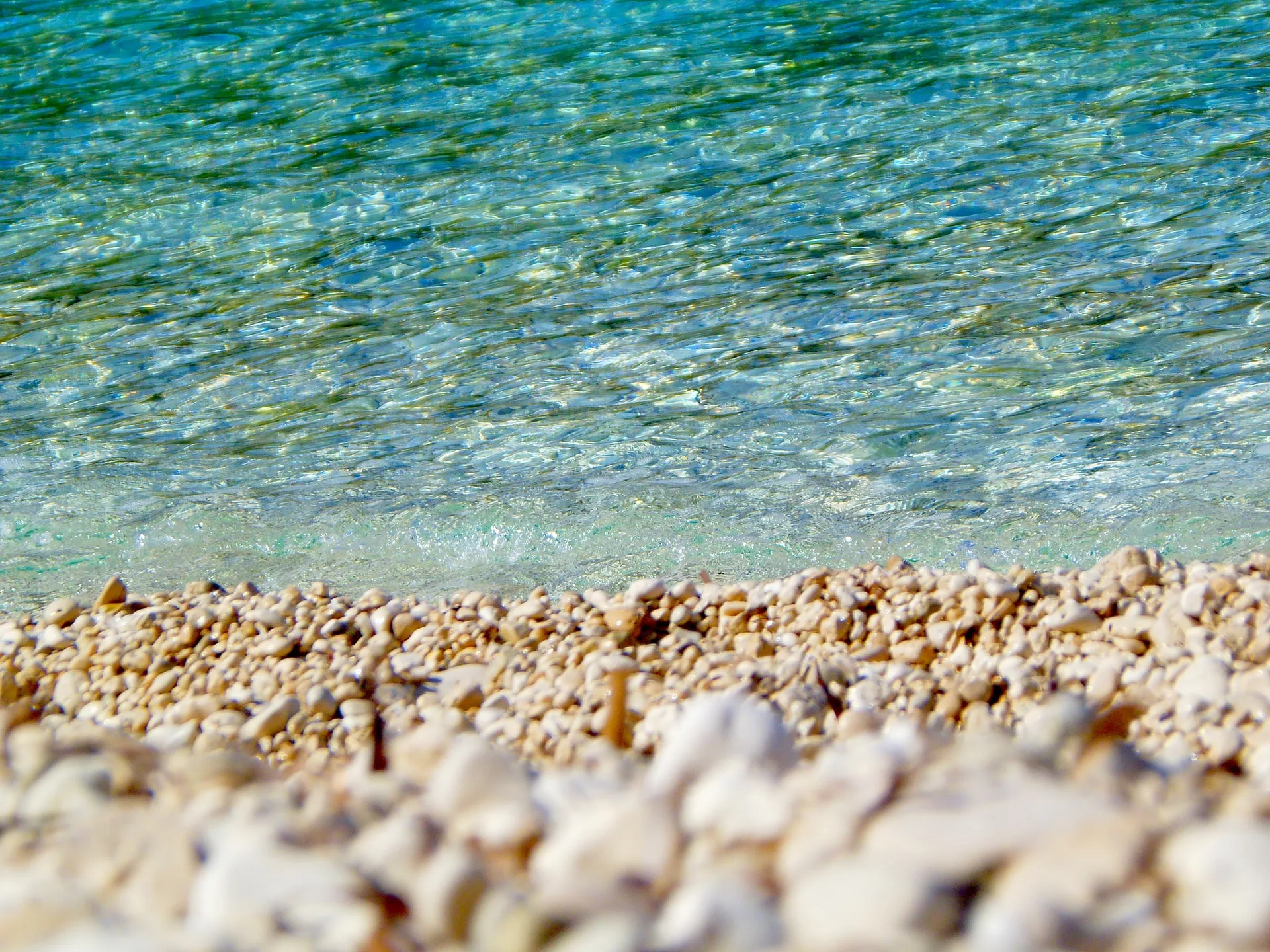 coronavirus improving water quality