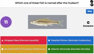 screenshot of kahoot game