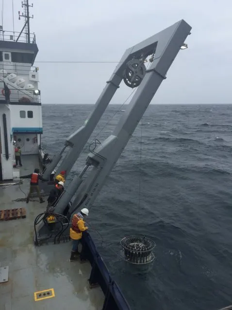 ctd1 478x637.jpg