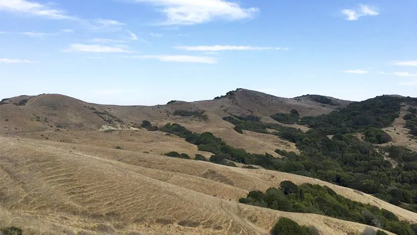 drylands soil moisture