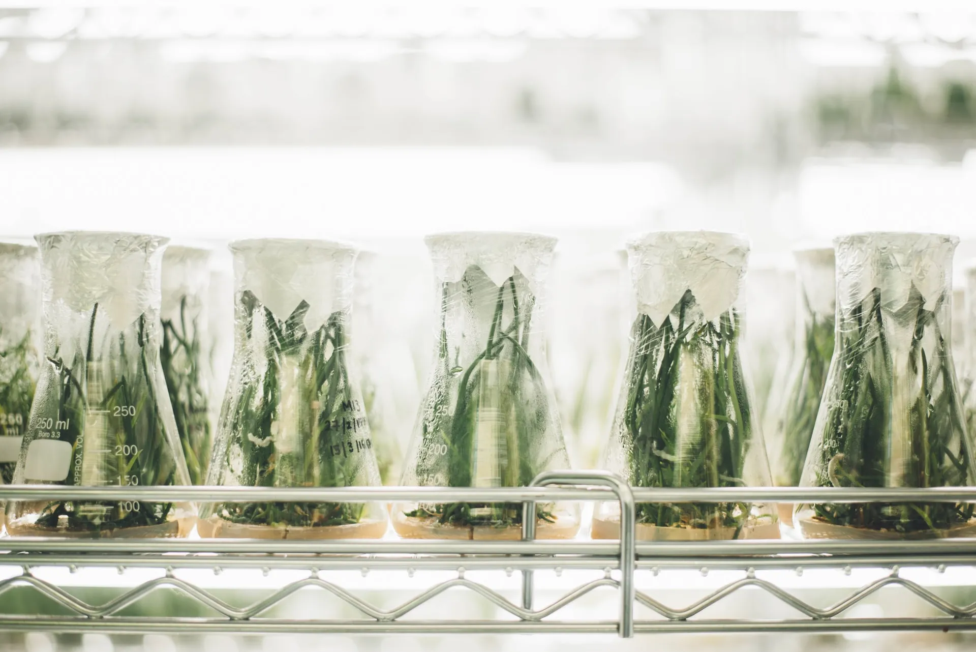 biden administration revitalize sciences