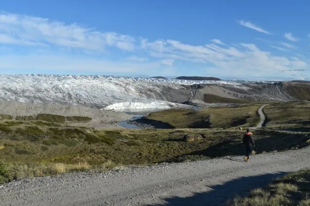 fossil plants bottom greenland sheet ice warn future melting