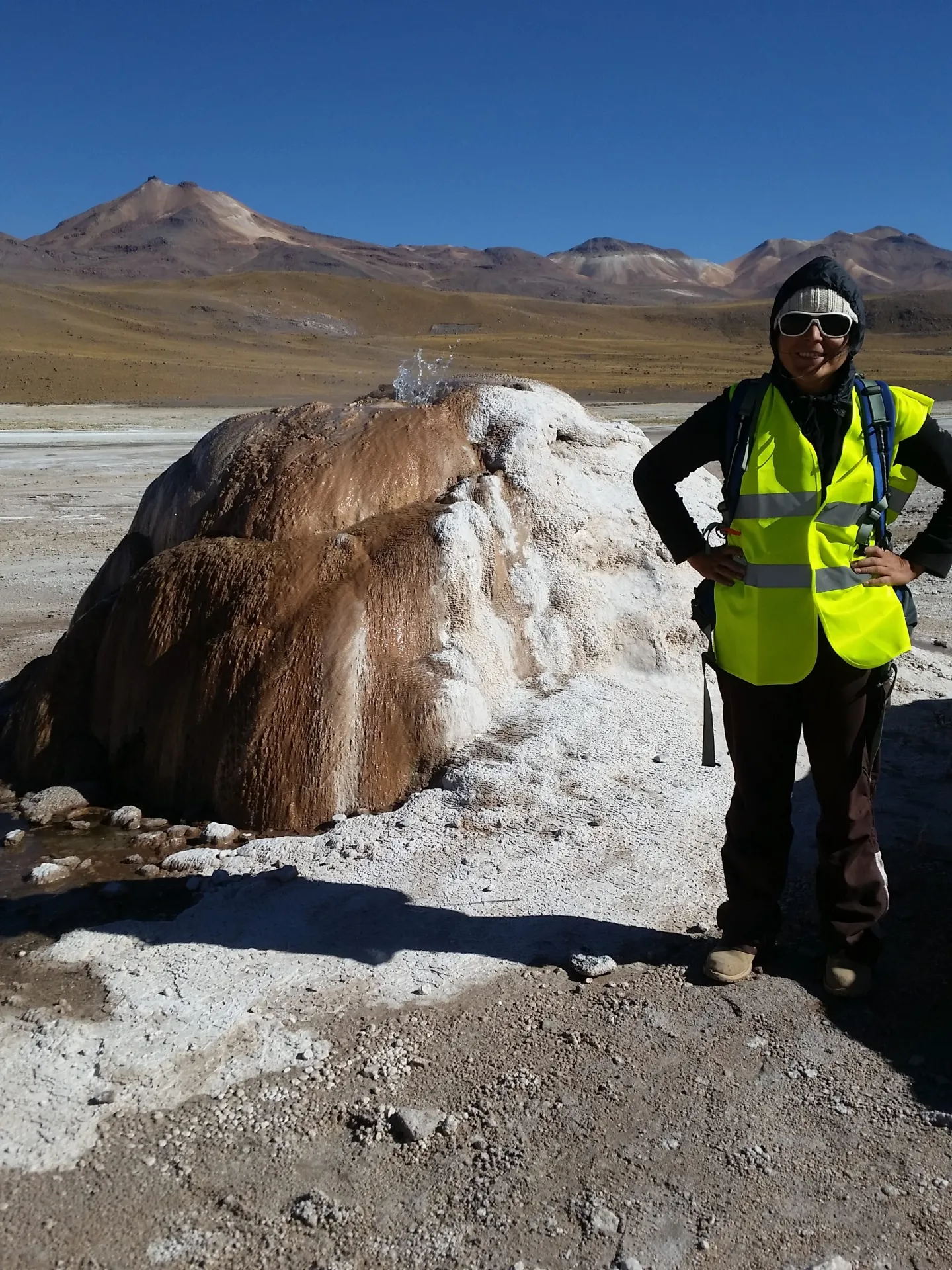 carolina munoz saez hydrothermal systems