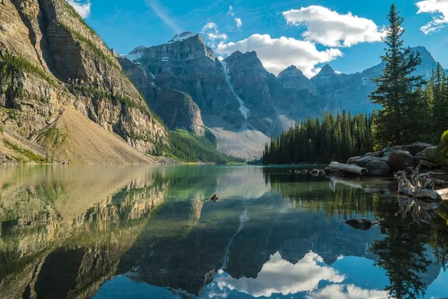 rights of nature lawsuits