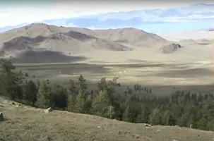 forest on mountain side overlooking valley