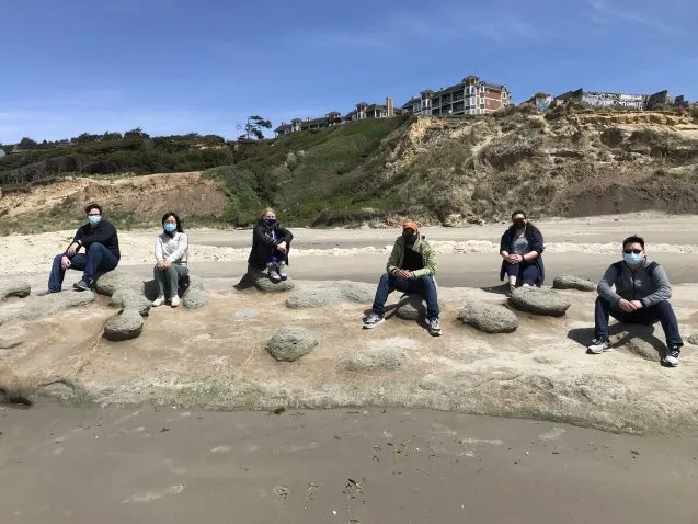researchers sitting on toadstools on the beach