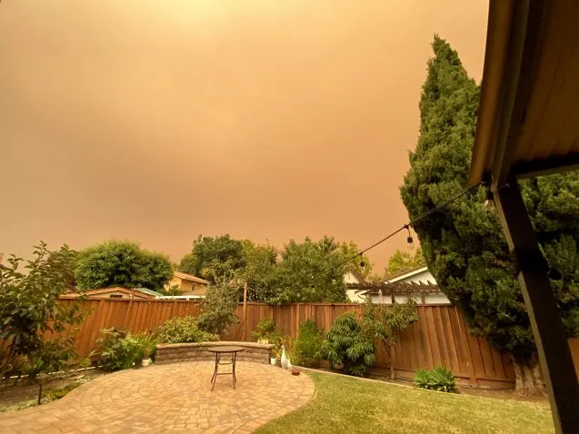 orange skies over a backyard