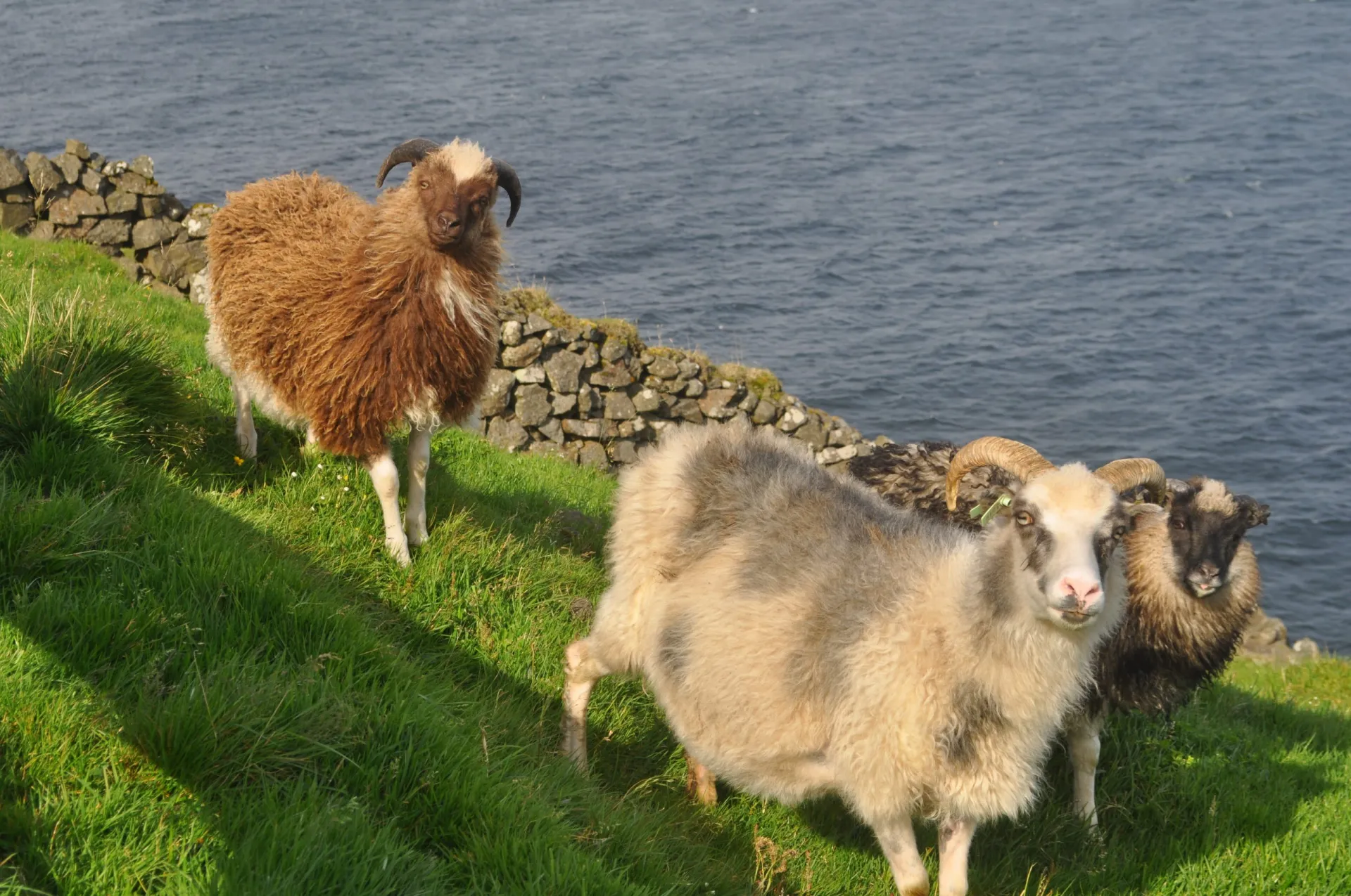 humans reached remote north atlantic islands centuries earlier than thought