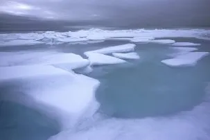 Arcticice2 303x202.jpg