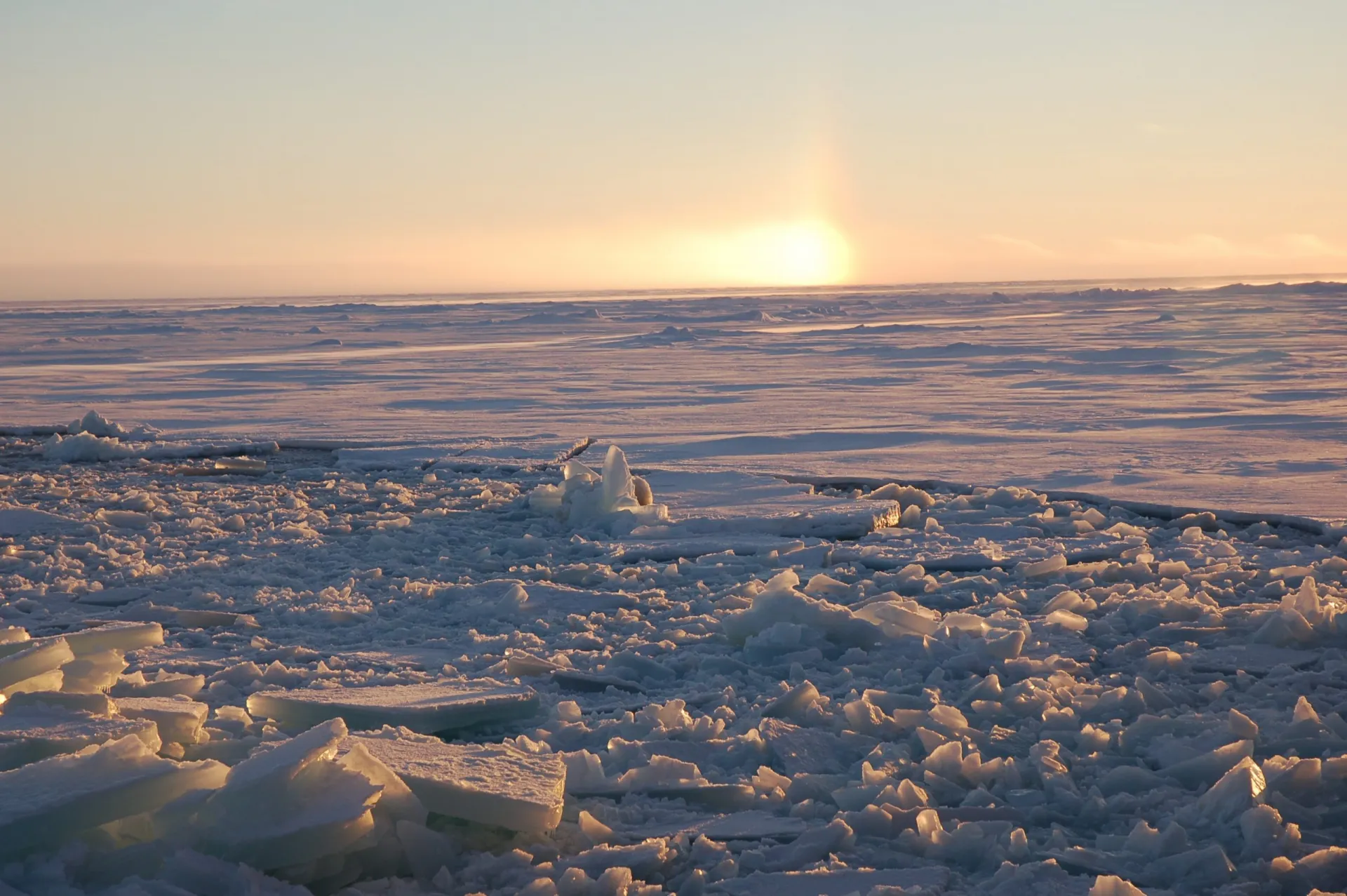 arctic sea ice may make a last stand in this remote region it may lose the battle
