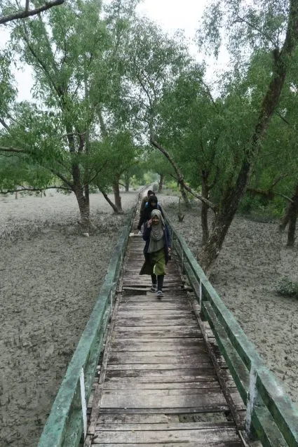 4.10forestwalkway 425x637.jpeg