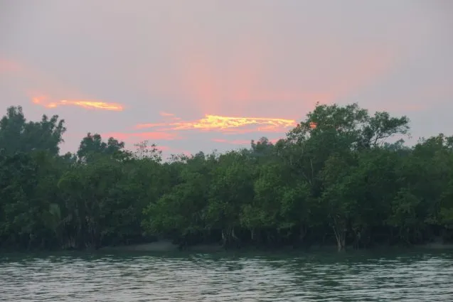 4.6sunset 637x425.jpeg