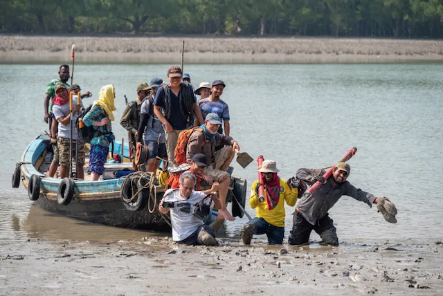 deploying in the mangrove forest