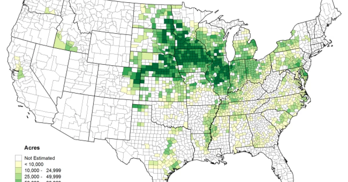 A Climate Change Double Whammy in the U.S. Corn Belt | Lamont-Doherty ...